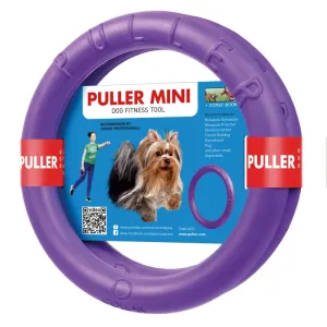 Small Dog Frisbee Purple Plastic 18cm by PULLER