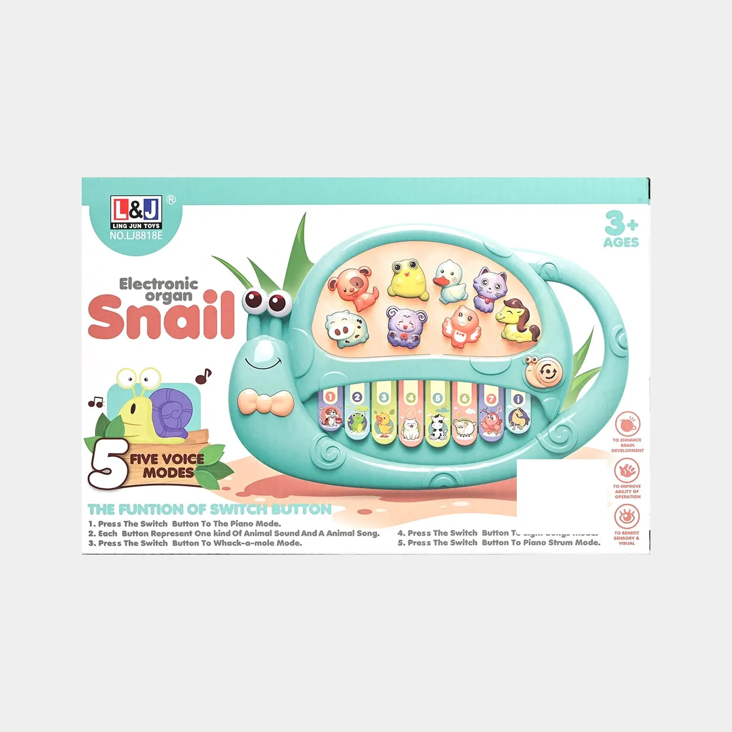 Snail Electric Organ