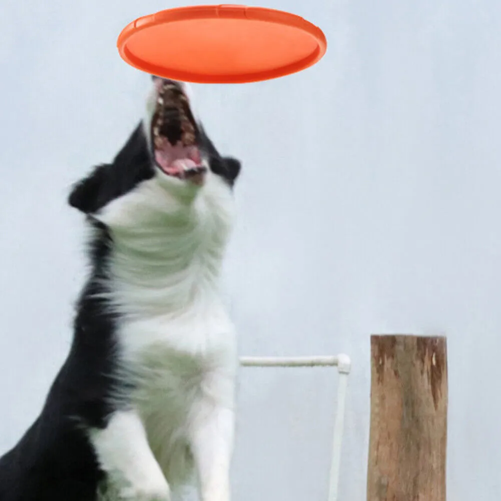 US 2 Pc Dog Toy Flyer Flexible Durable Frisbee Disc LARGE Chew Fetch Toys