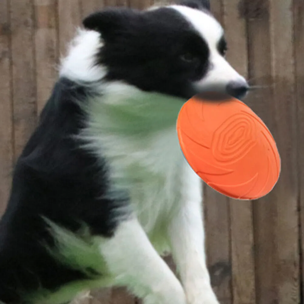 US 2 Pc Dog Toy Flyer Flexible Durable Frisbee Disc LARGE Chew Fetch Toys