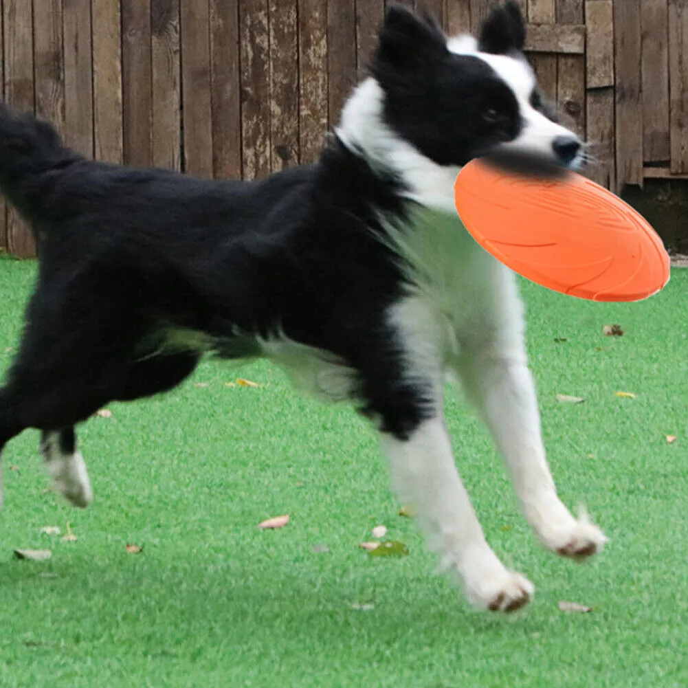 US 2 Pc Dog Toy Flyer Flexible Durable Frisbee Disc LARGE Chew Fetch Toys